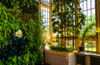 Babel Green orangery installation